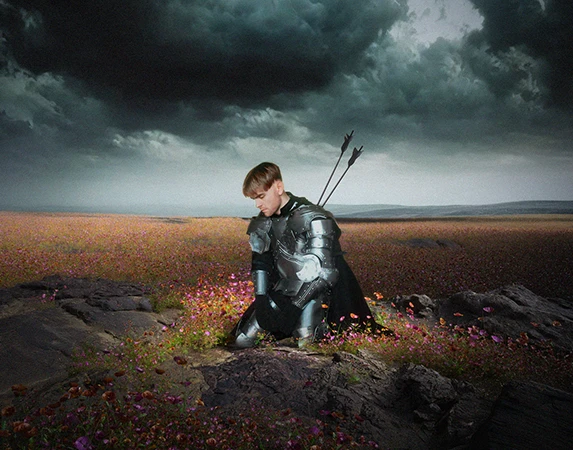 Mosaïque du projet Ciel gris sur un champ de fleur