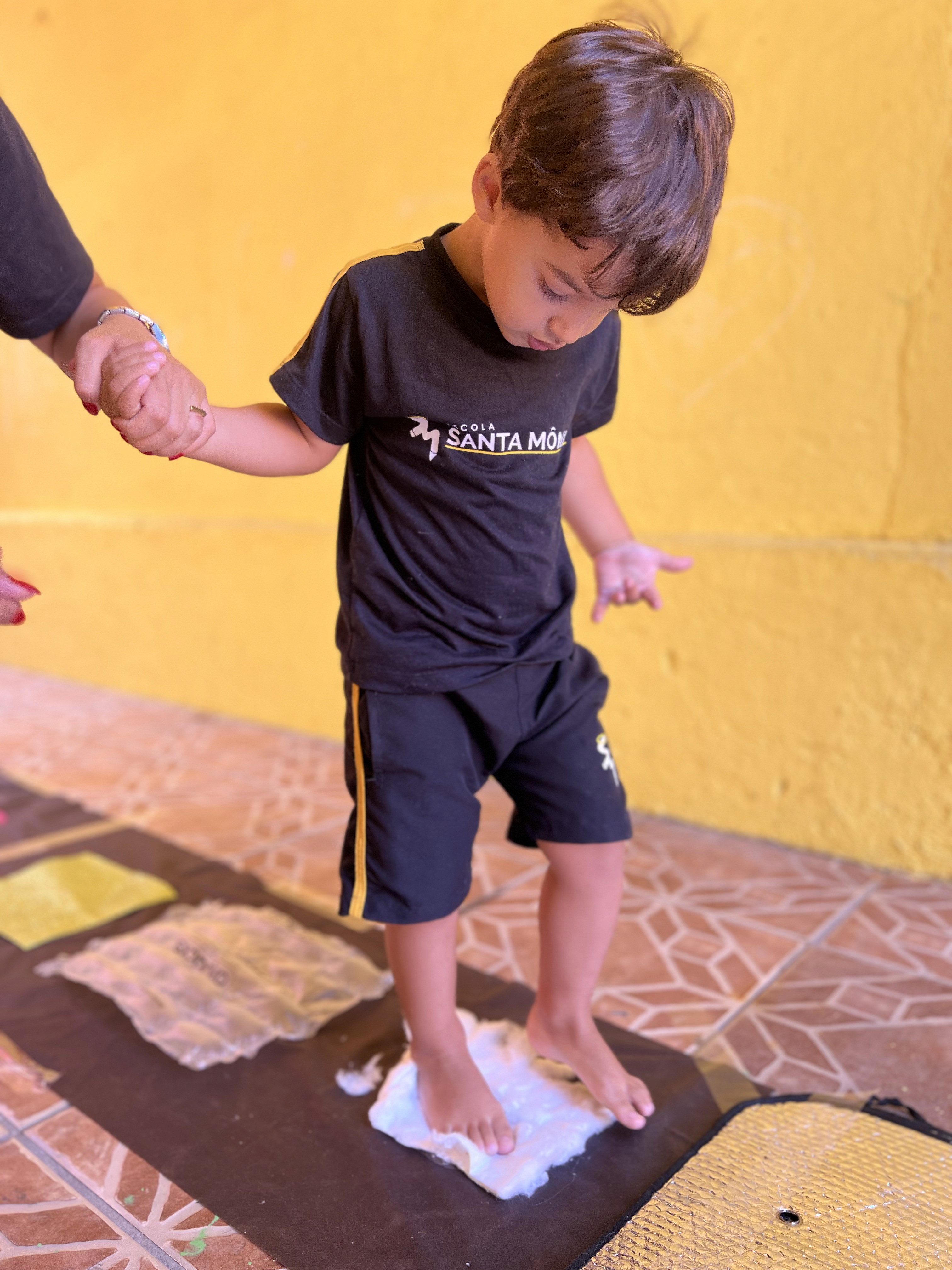 projeto cinco sentidos educação infantil