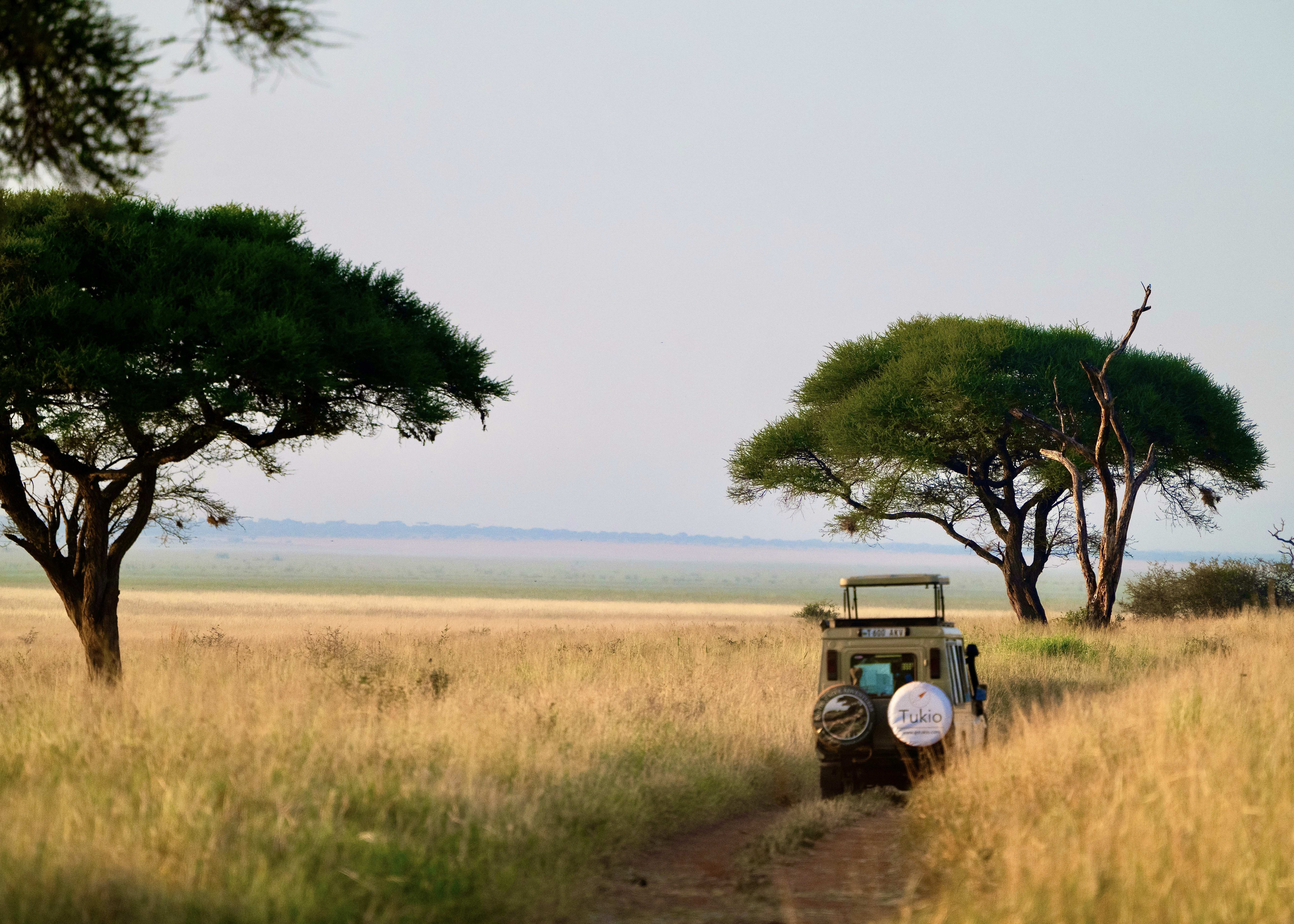 Gotukio Safari Landcruiser