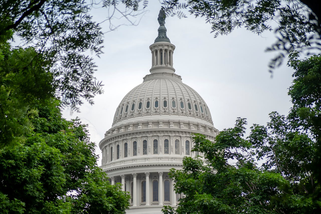 Image of the US Capitol Building Dome