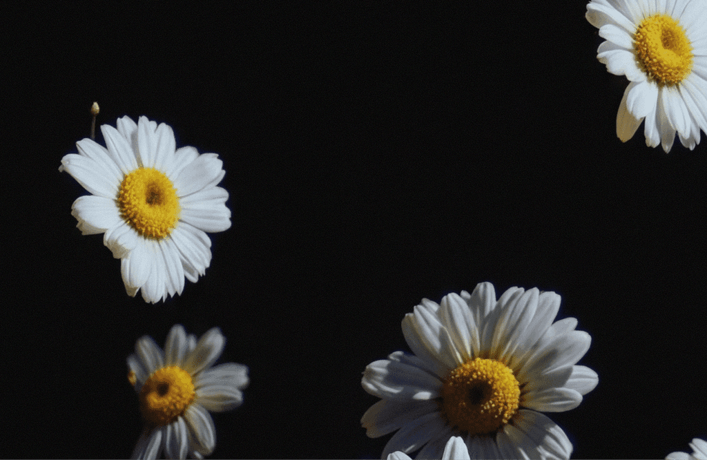 Raha, mis liigub sinu rütmis.