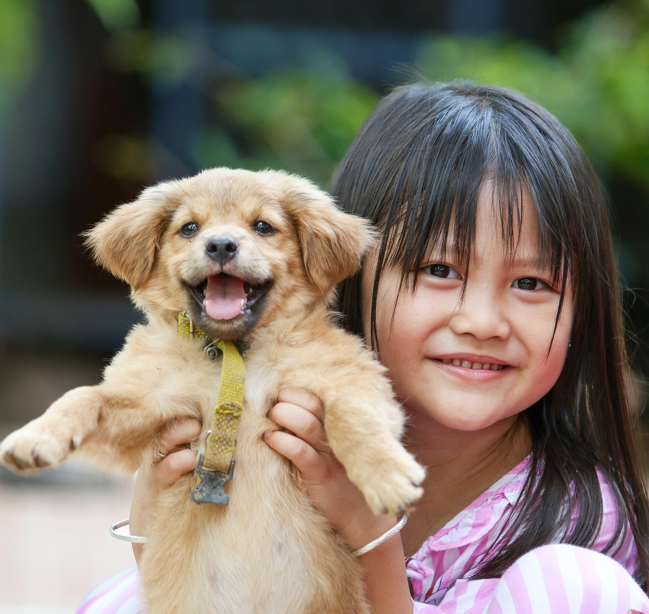 child,-girl,-dog,-cute,-kid,-young,-childhood,-puppy,-pet,-animal,-young-dog,-do - trungkhang (pixabay)