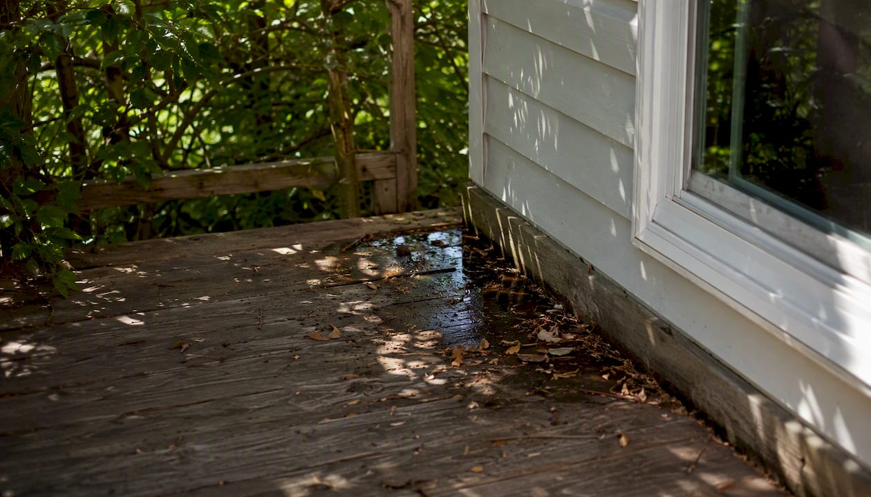 Water pooling and branches over wood deck