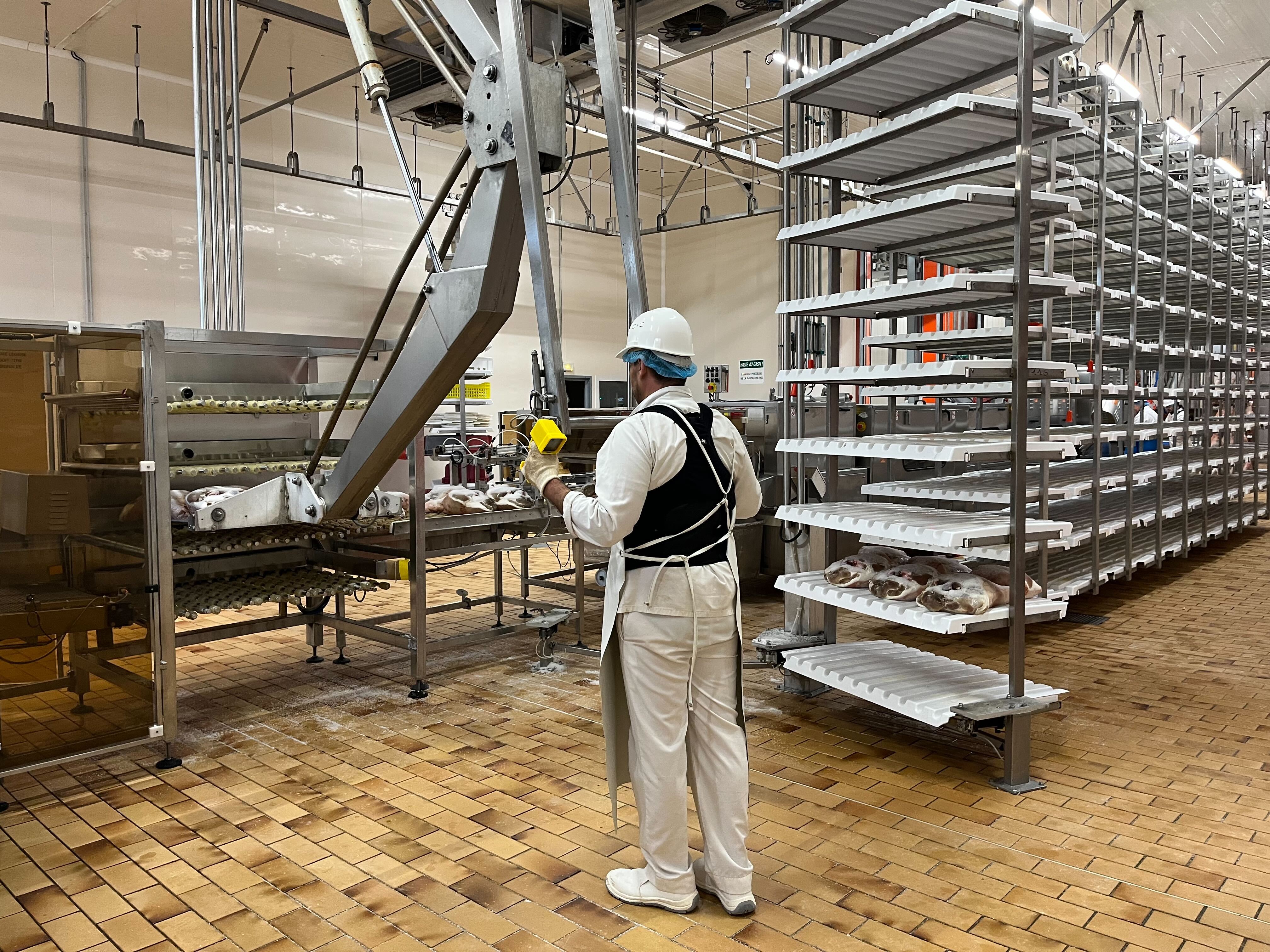 Food processing plant operator wearing a black back support under a white lab coat, operating a production line with stainless steel storage carts