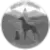 Emeggency veternary Logo