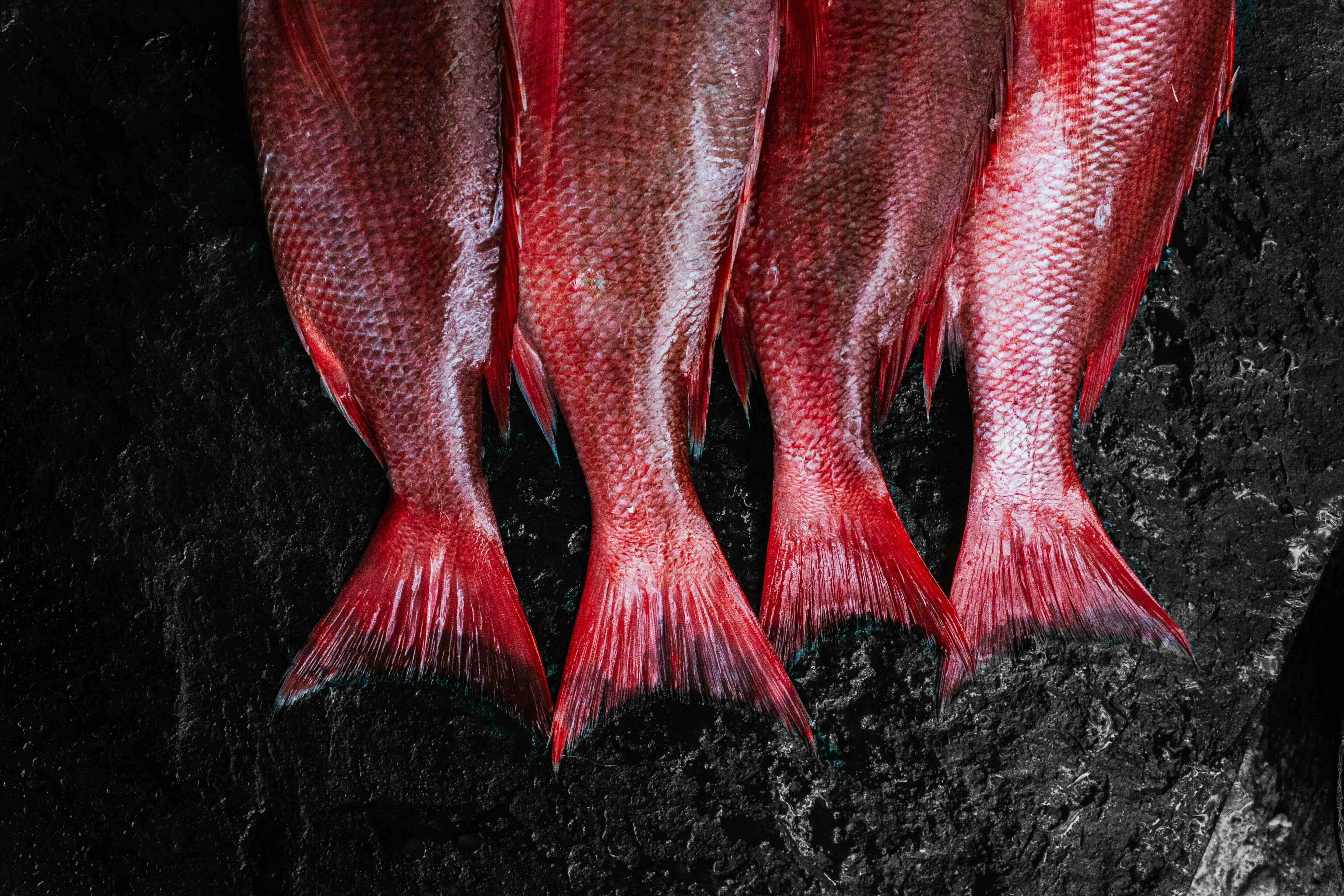 person checking expenses on ther laptop