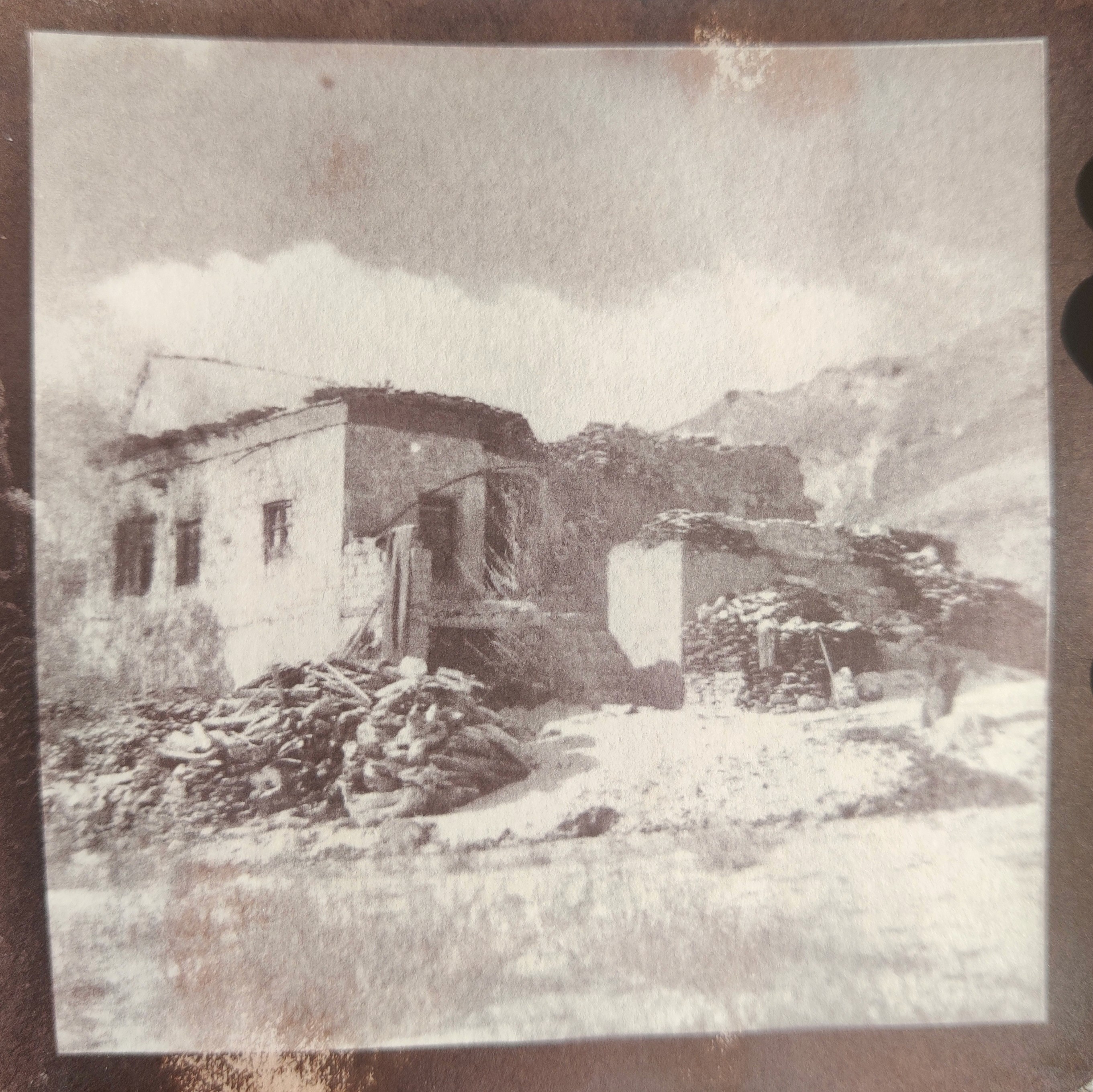 herd of sheep on road painting