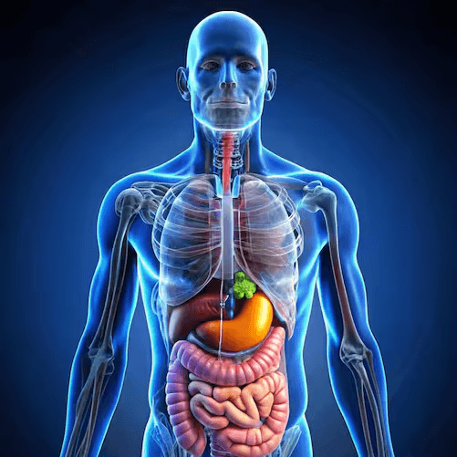 gambar produk kunyit hitam malaysia, Naturmeric