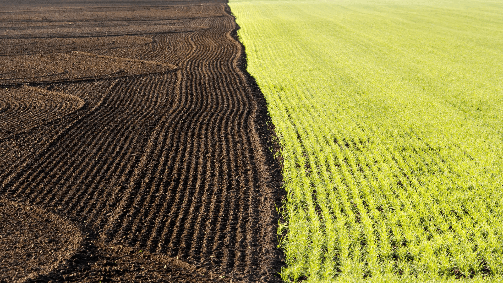 A POMDP Model for Safe Geological Carbon Sequestration