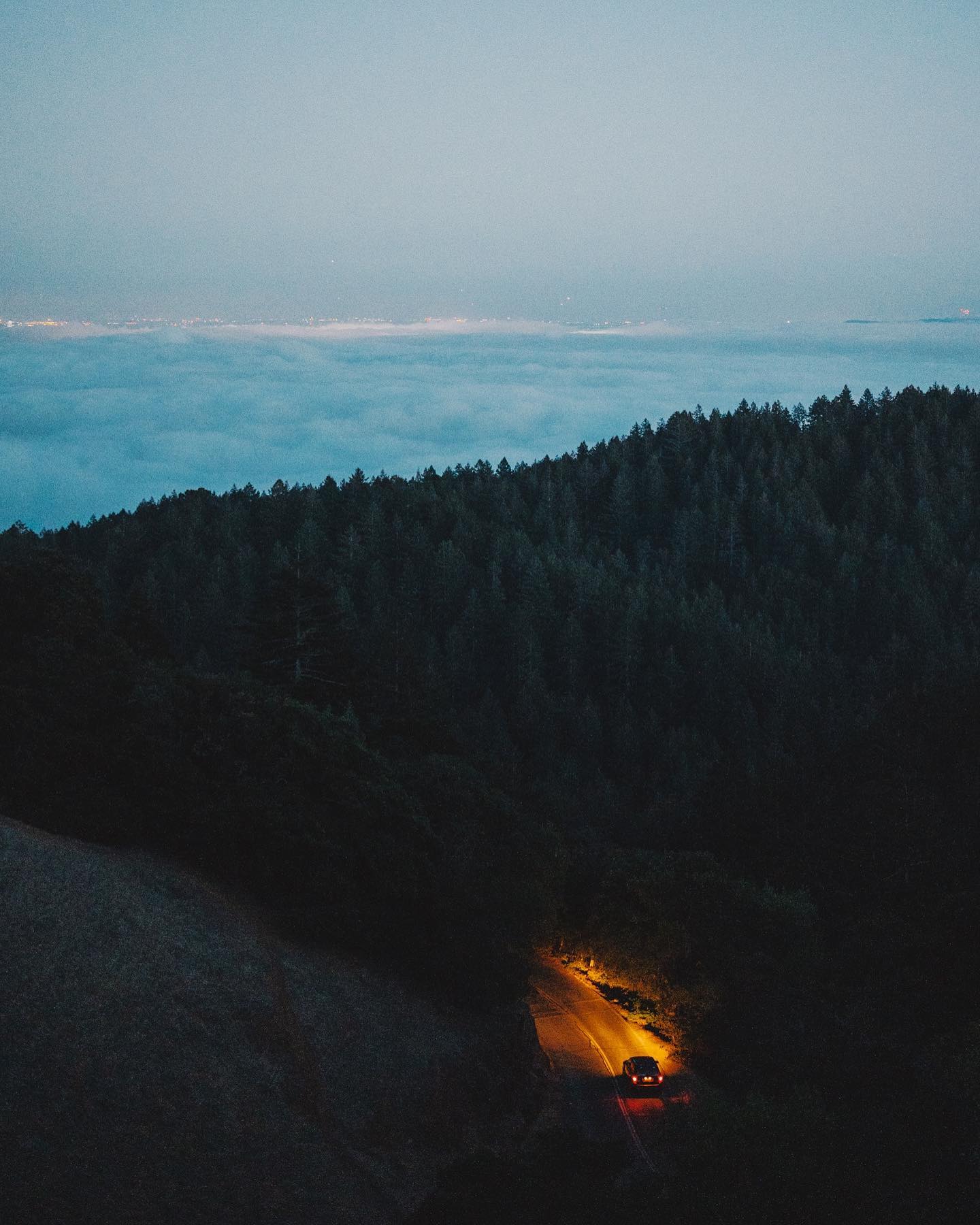 The lush green landscape of Mount Tamalpais under a cloudy sky.