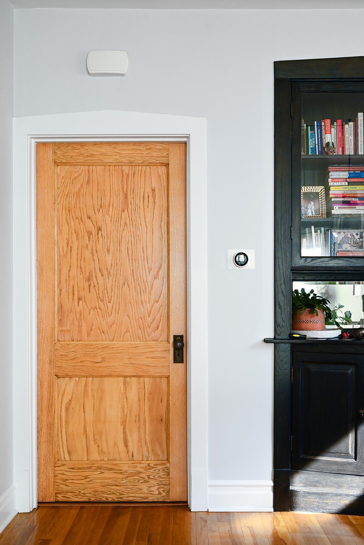 Modern door wood finish in living room