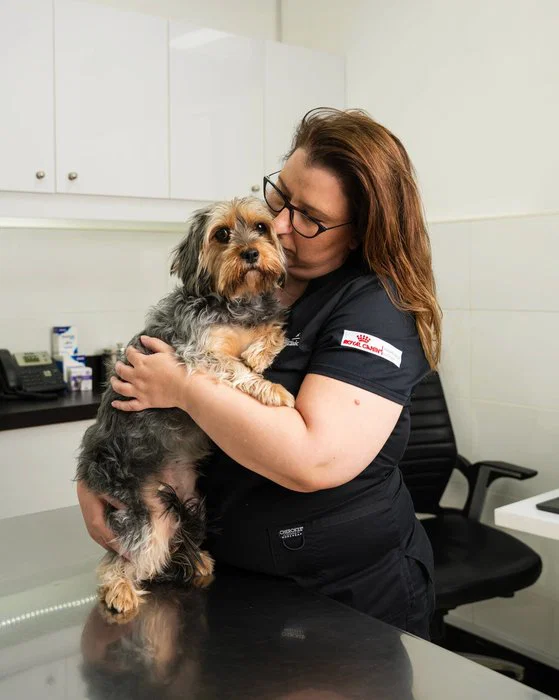 At Noble Vet Clinic, we provide thorough dental checks with compassion and professionalism.
