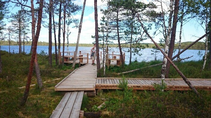  Meenikunno hiking trail in the South of Estonia 