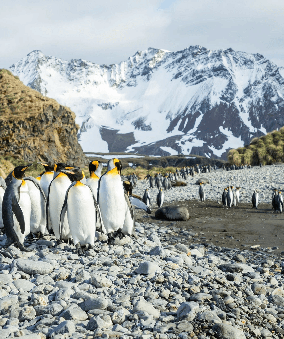 Antarctic landscape and expedition scenery
