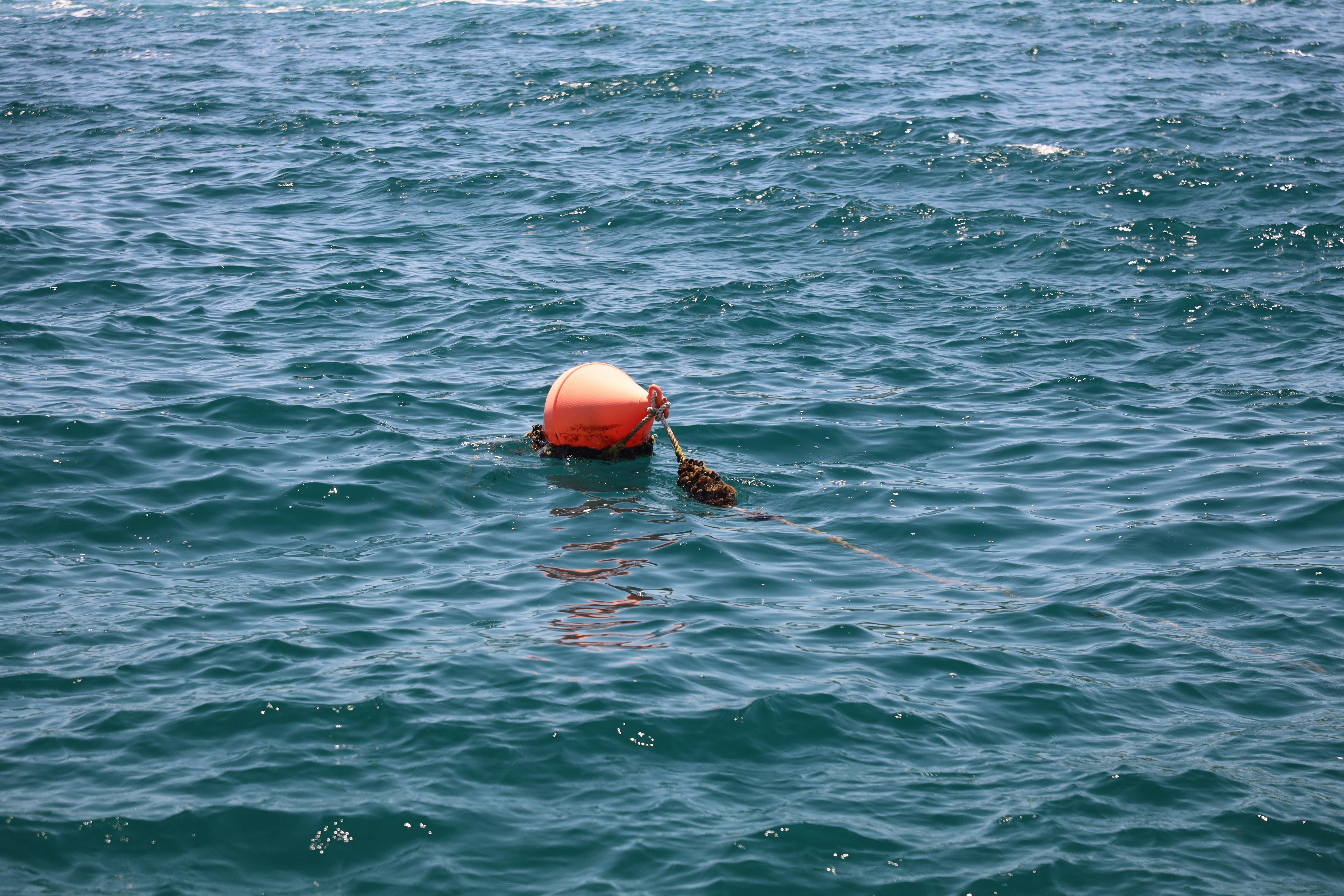 Orange buoy floating in water