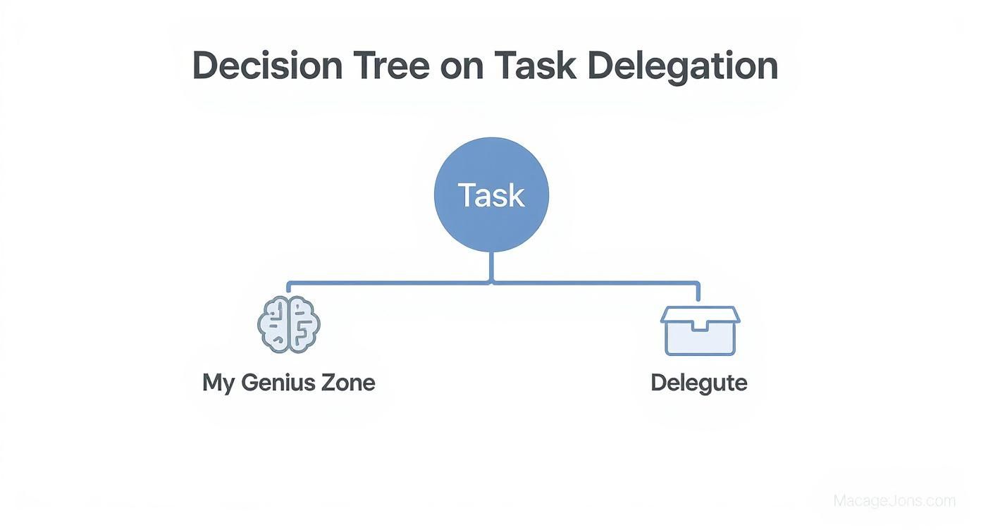Infographic about personal assistant tasks and duties