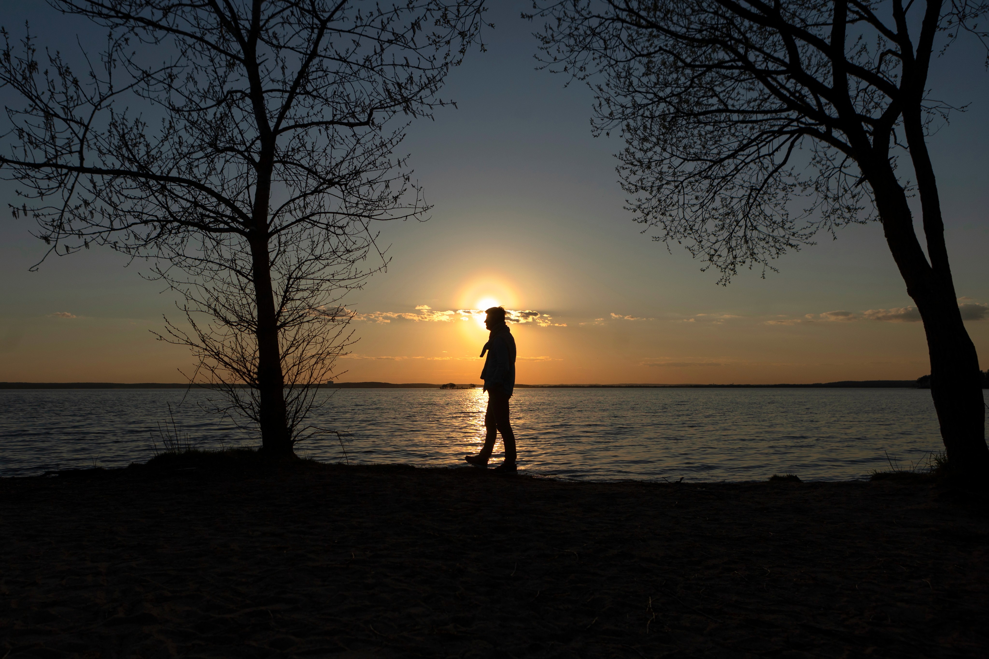 Silhouette of a person walking along a lakeshore at sunset, framed by bare tree branches