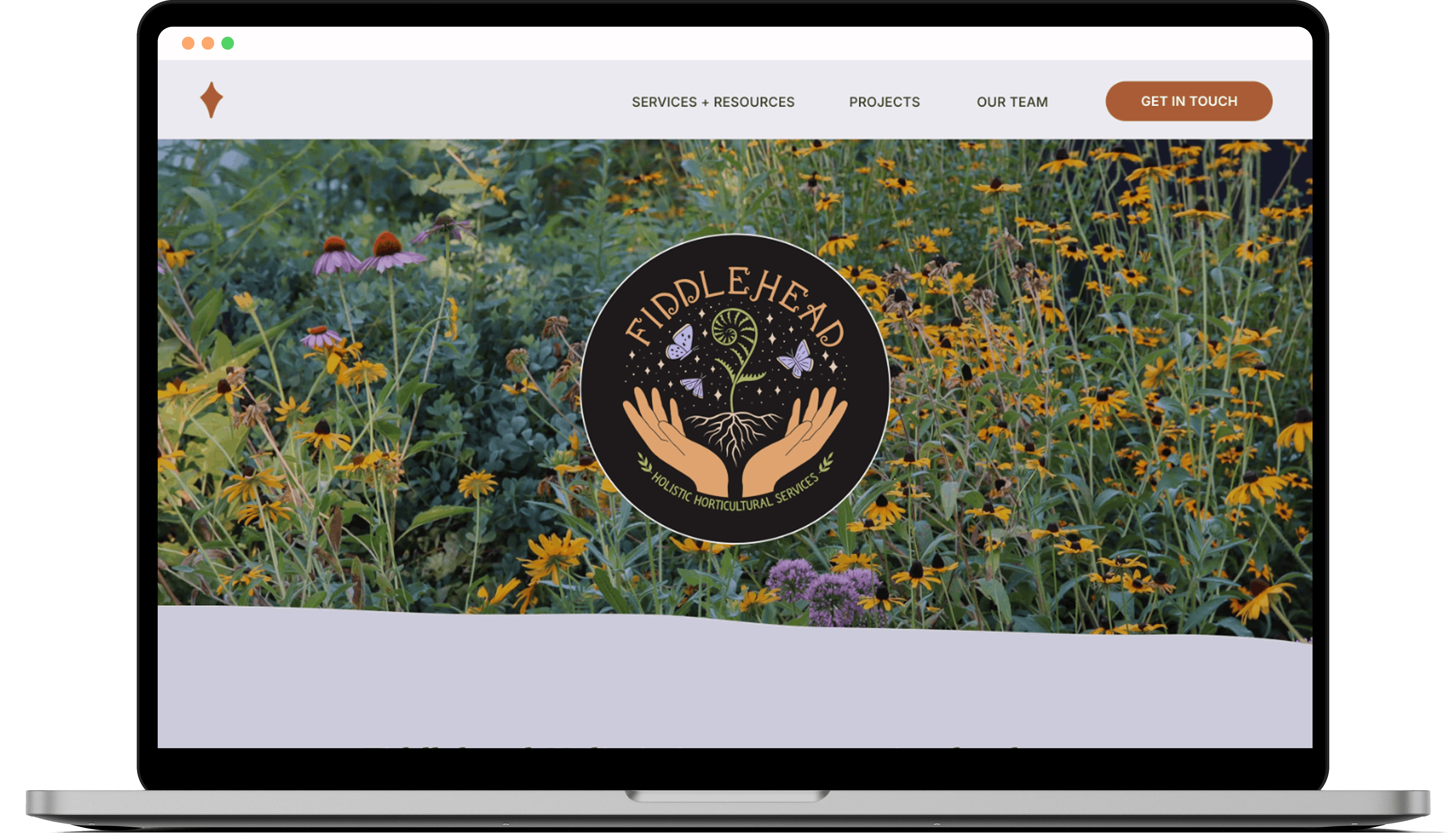 Preview of the Fiddlehead Holistic website