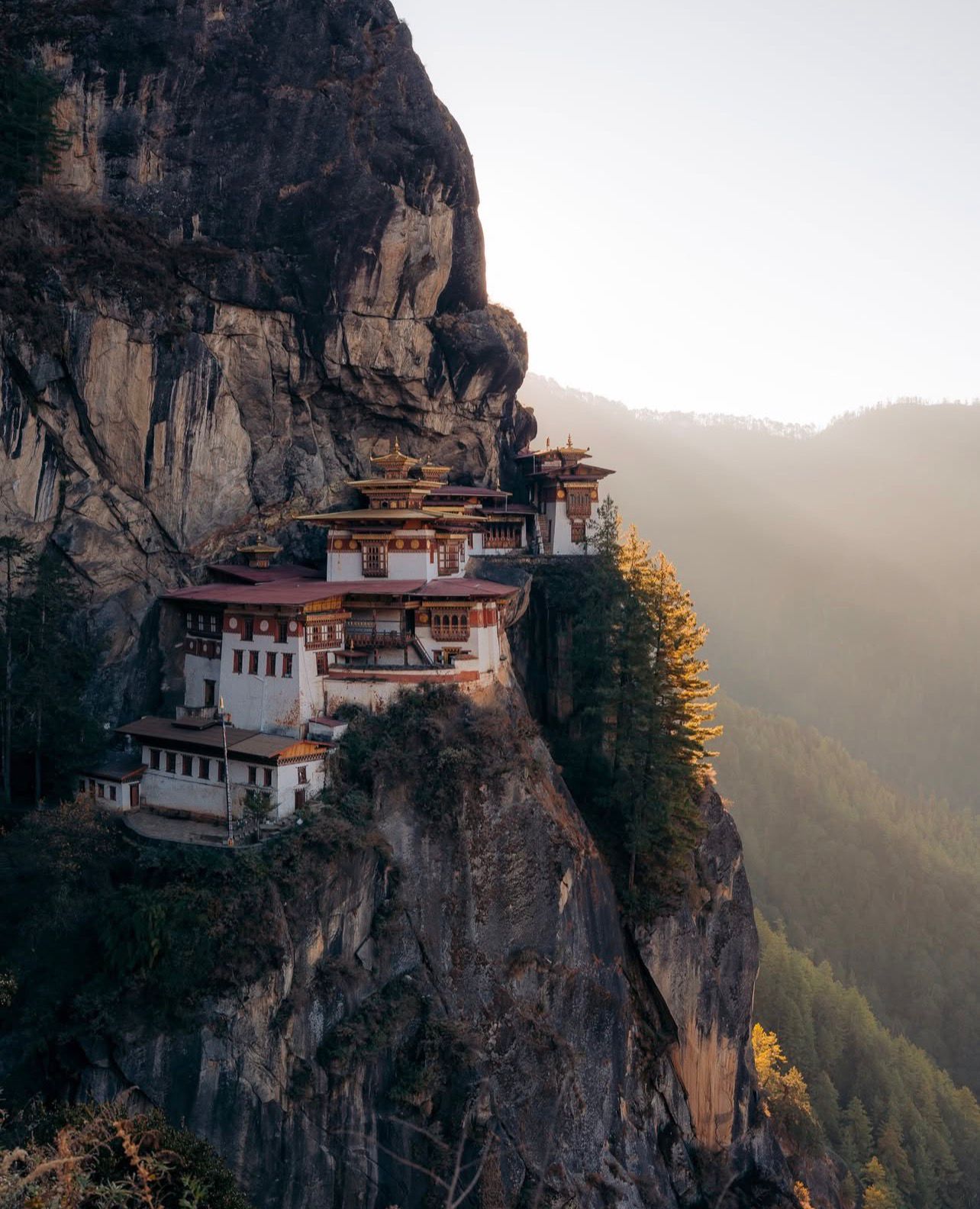 a group of children standing around each other
