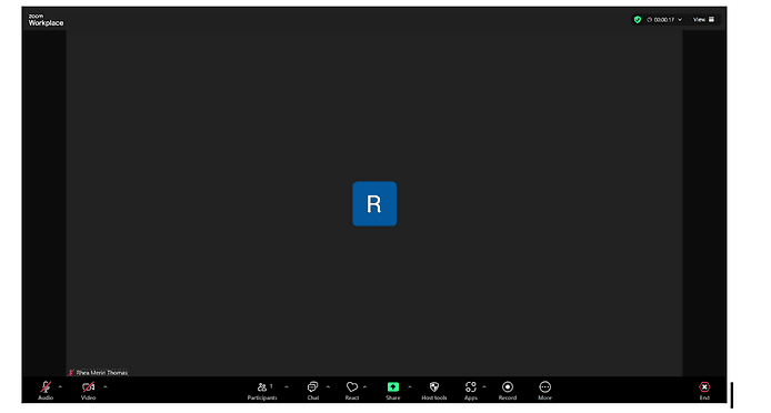Fig 5: Zoom interface with one user - new version.