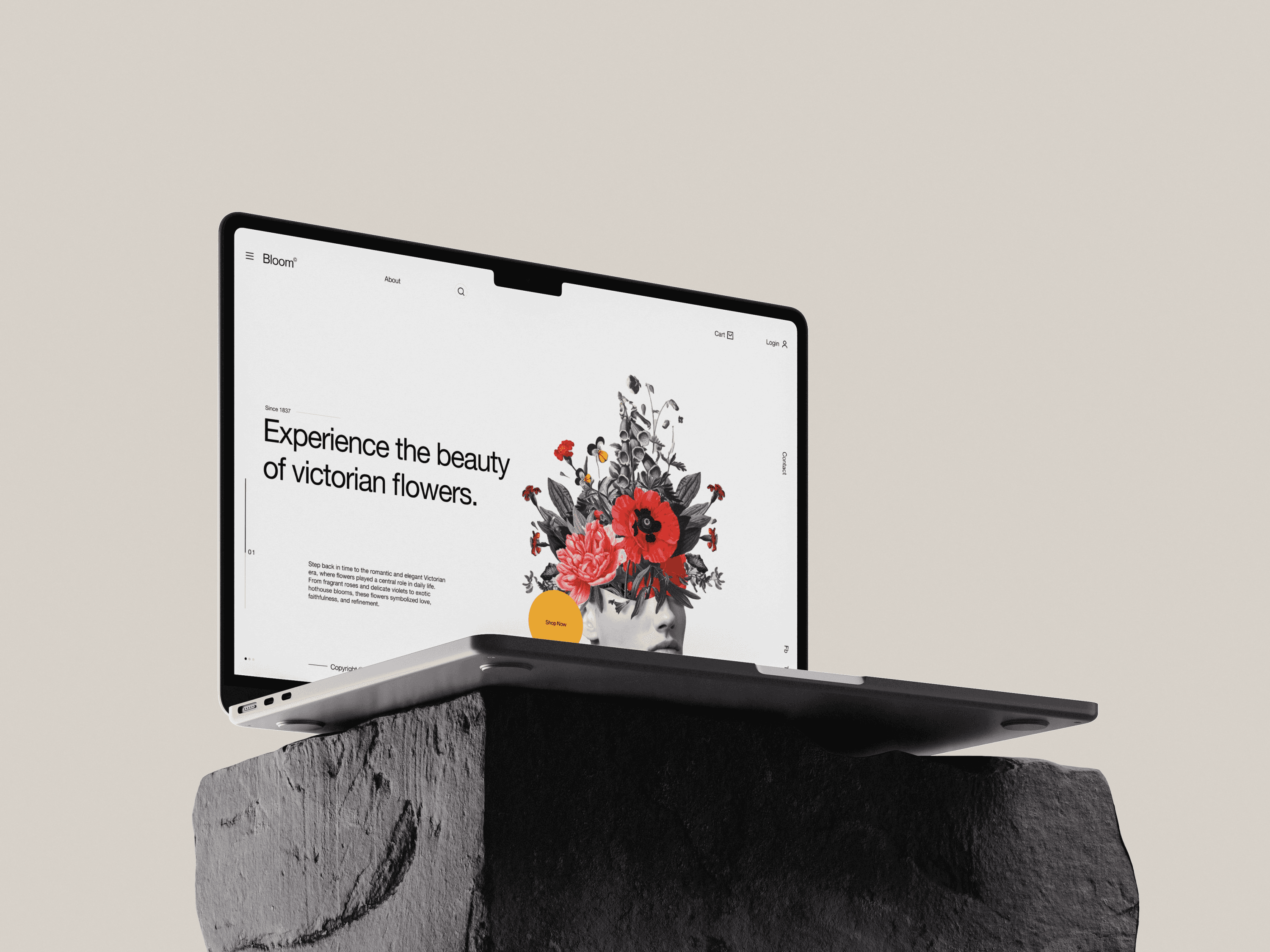 Website designed by @shakibali