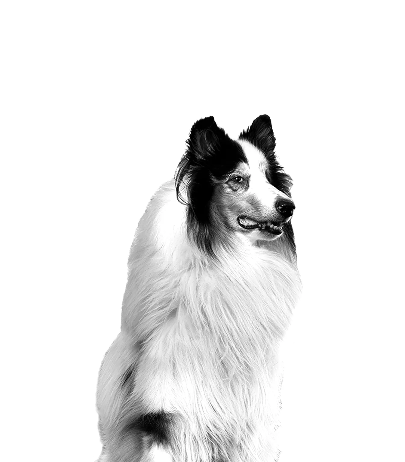 Henkilöstö - Maiju 2