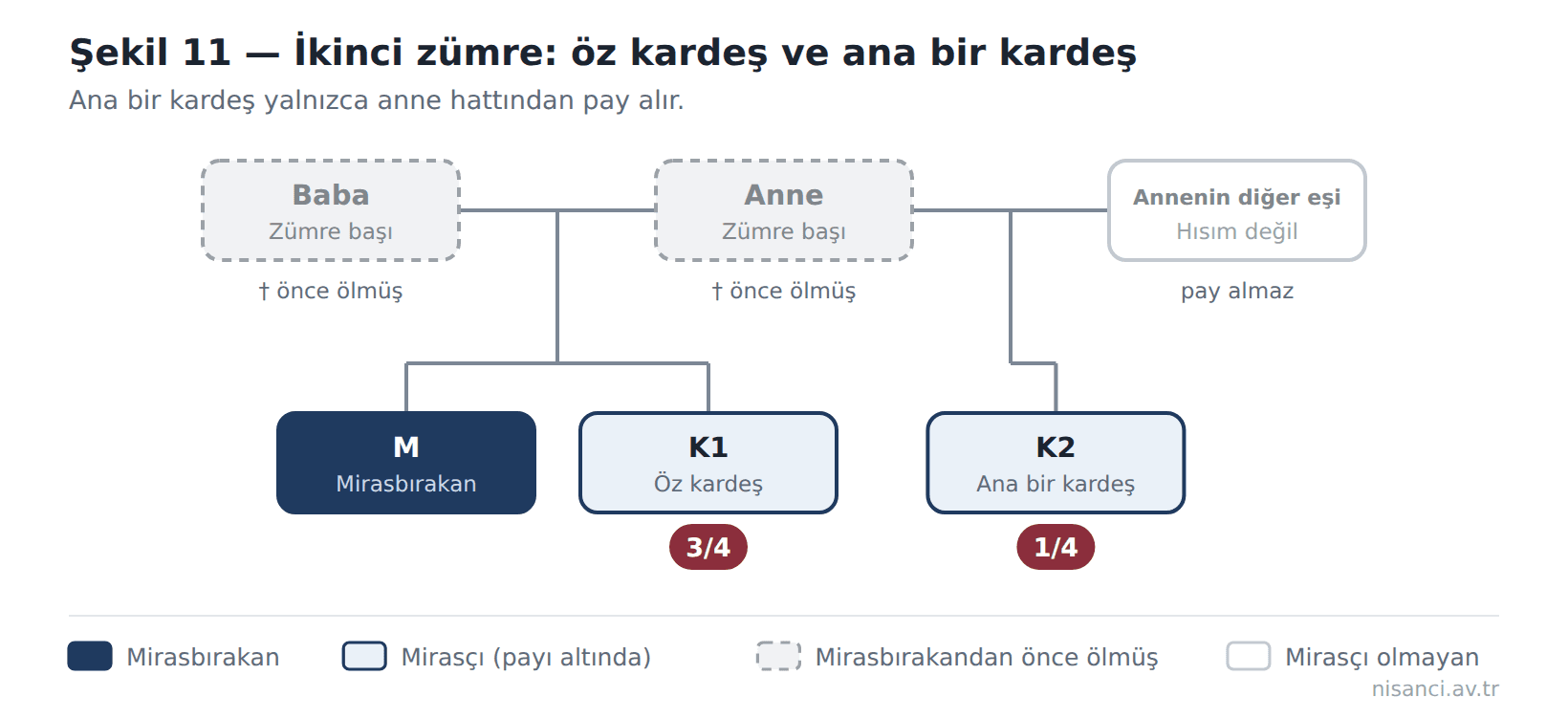Şekil 11 — İkinci zümre: öz kardeş ve ana bir kardeş