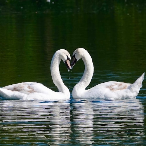 A útvonal kilátásai