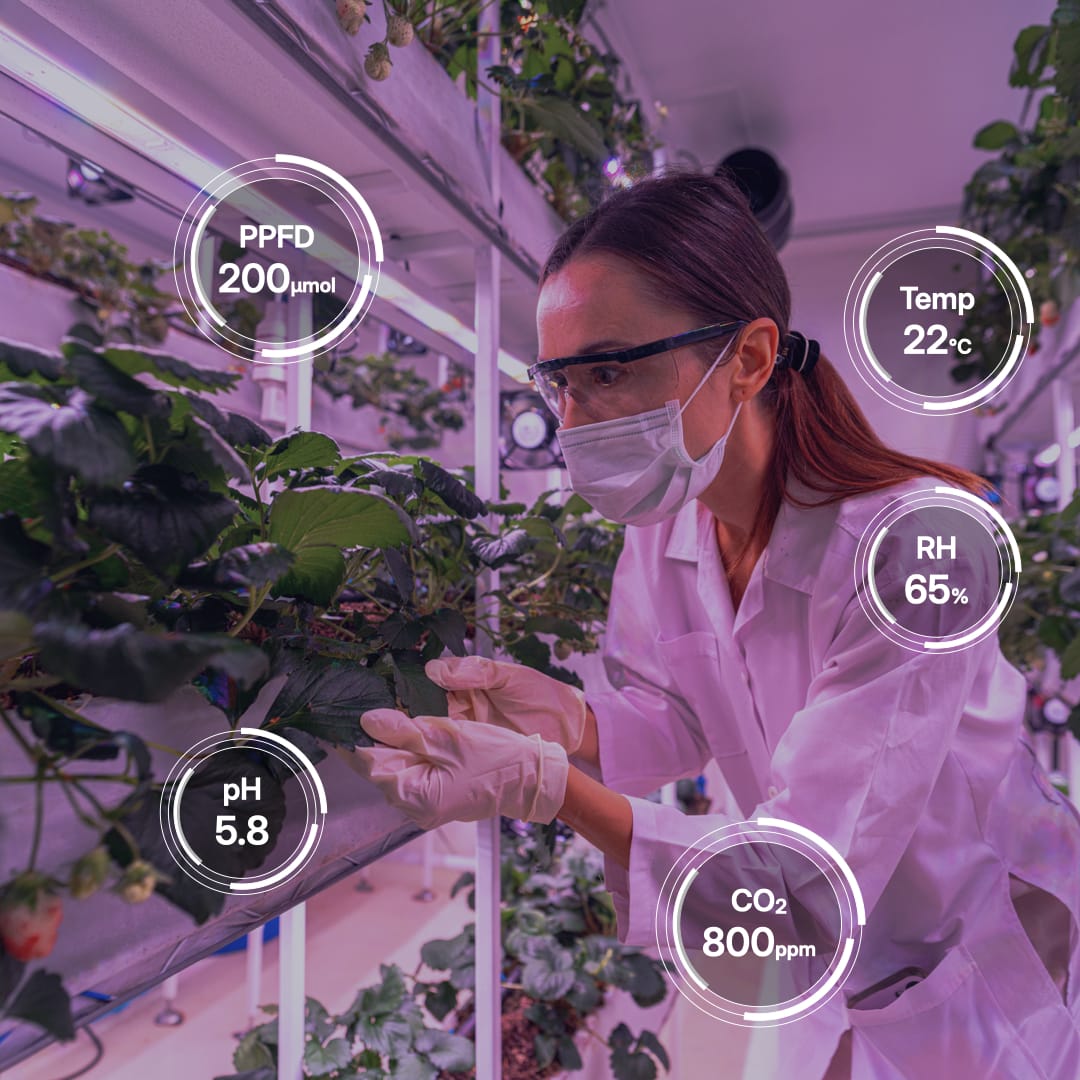 A woman working in a vertical farm with overlays representing important measures such as pH, CO2 and temperature