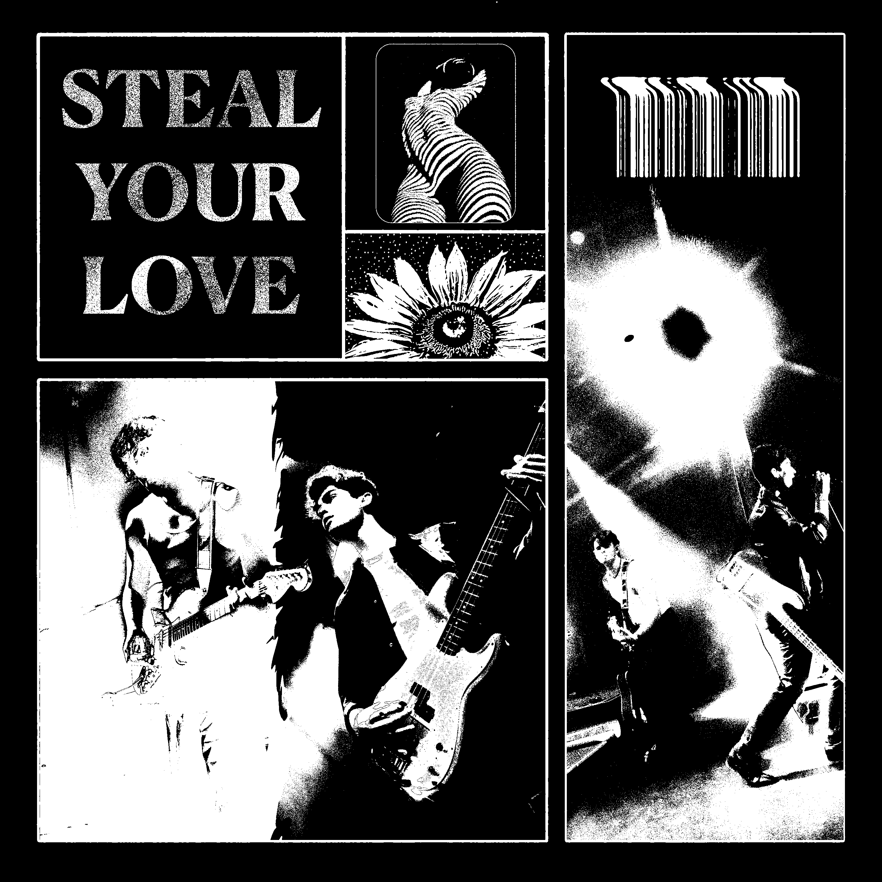 Steal Your Love Cover