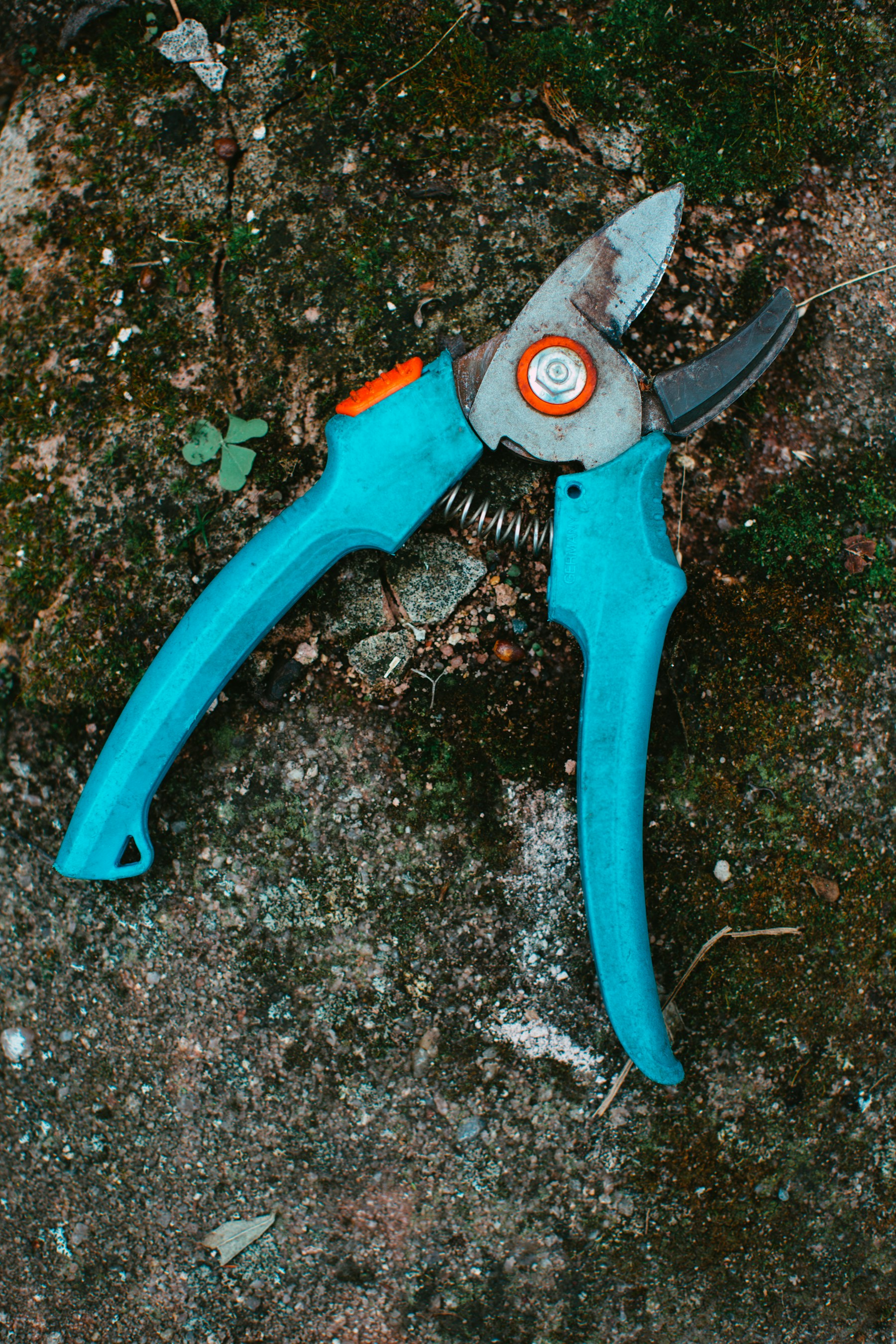 Pair of pruning snips