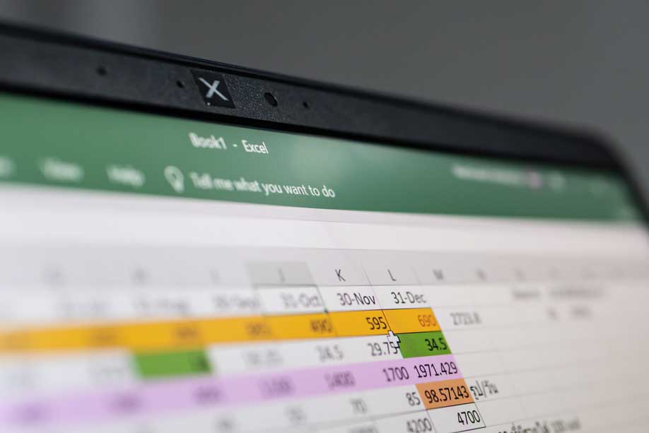 Closeup photo of a computer screen displaying Excel software.