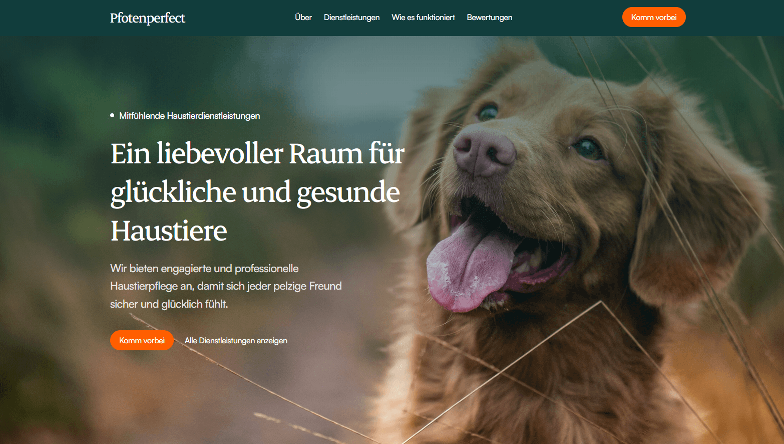 Hero Section einer Hundepension Beispiel für Portfolio