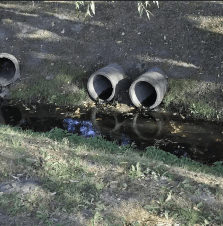 Fashion portrait photography