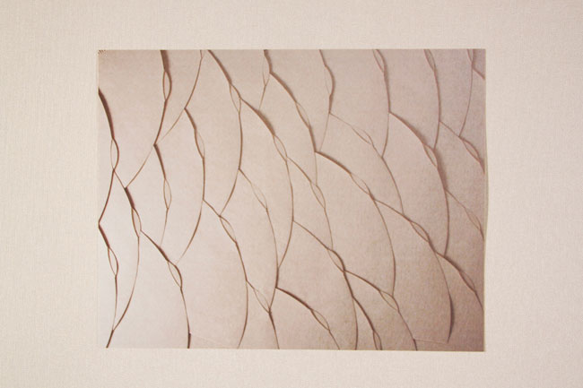 A light beige or cream-colored artwork features a repeating pattern of curved, dark brown lines that resemble cracks or veins. The lines are closely spaced and create a sense of texture and depth across the surface. The artwork is framed by a thin, light-colored border and is presented against a plain, light-colored background.