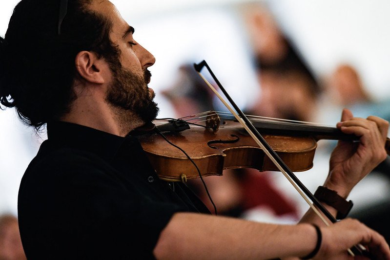 Person playing the violin