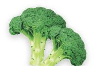 A fresh broccoli floret with vivid green color and tightly clustered buds, featuring a sturdy stalk and leafy crown. Perfect for any diet plan, the broccoli is isolated on a white background, providing a clear view of its texture and detail.