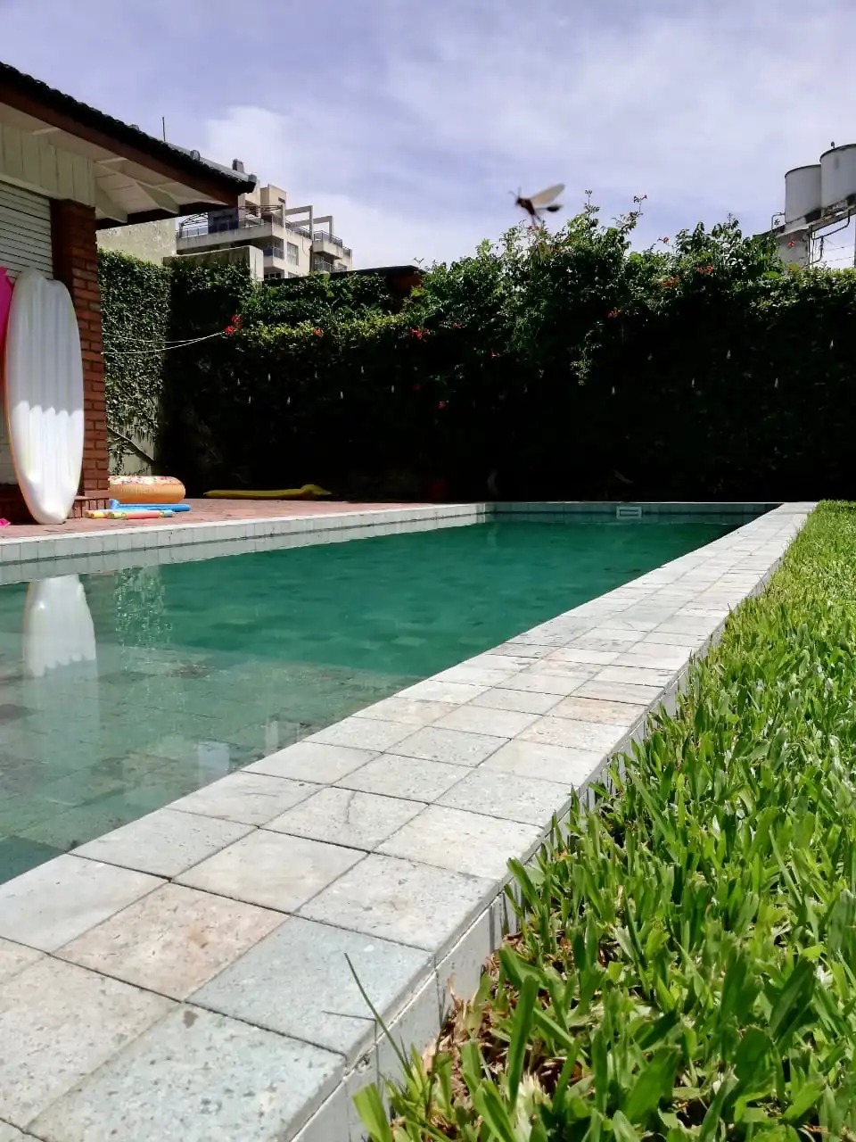 Detalle del borde claro de una piscina revestida en tonos verdosos, junto a un jardín y una galería con camas inflables.