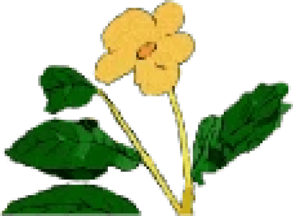 Simple drawing of a yellow flower with green leaves.