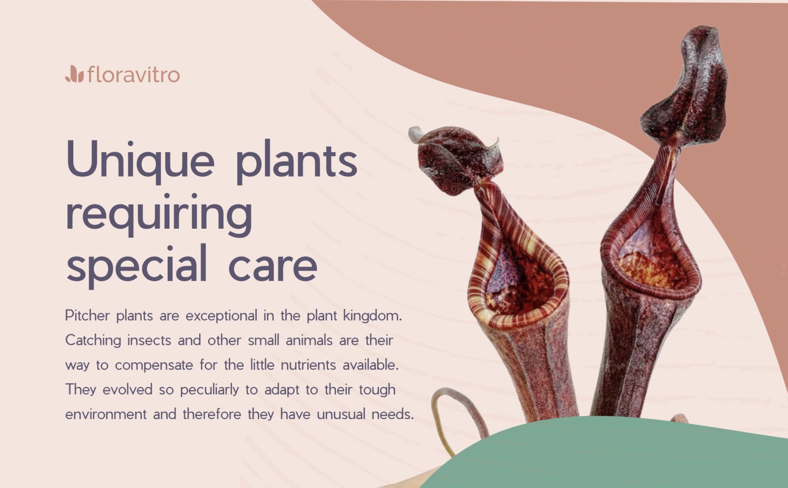 Brand assets usage of a plant nursery company