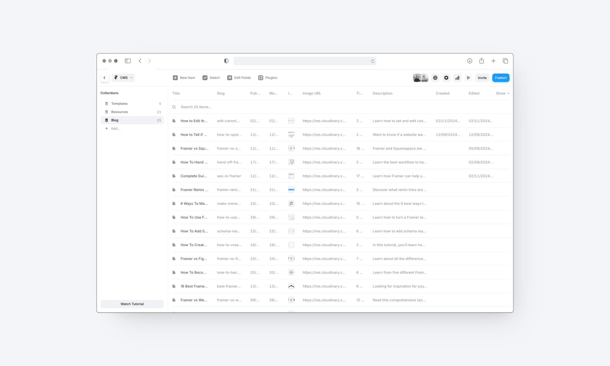 clicks.supply CMS setup