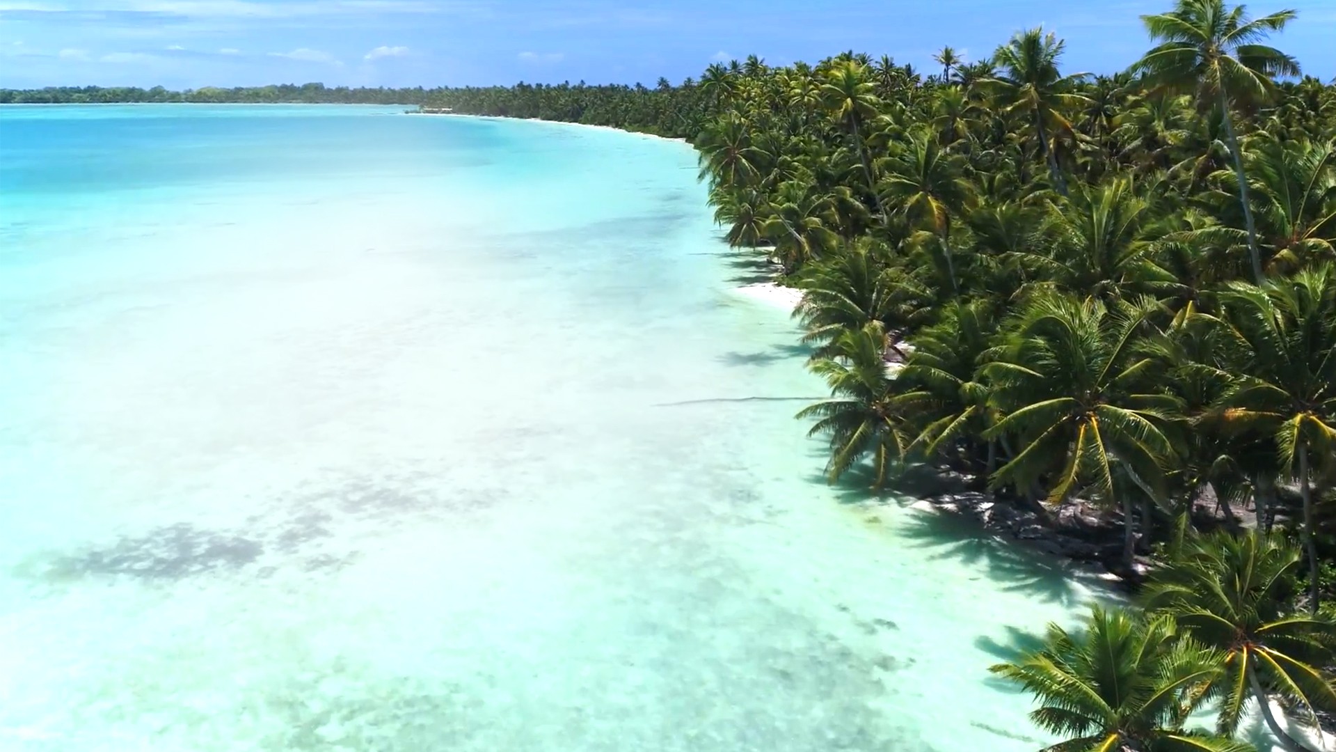 woman holding a phone and man looking at the phone. both are smiling