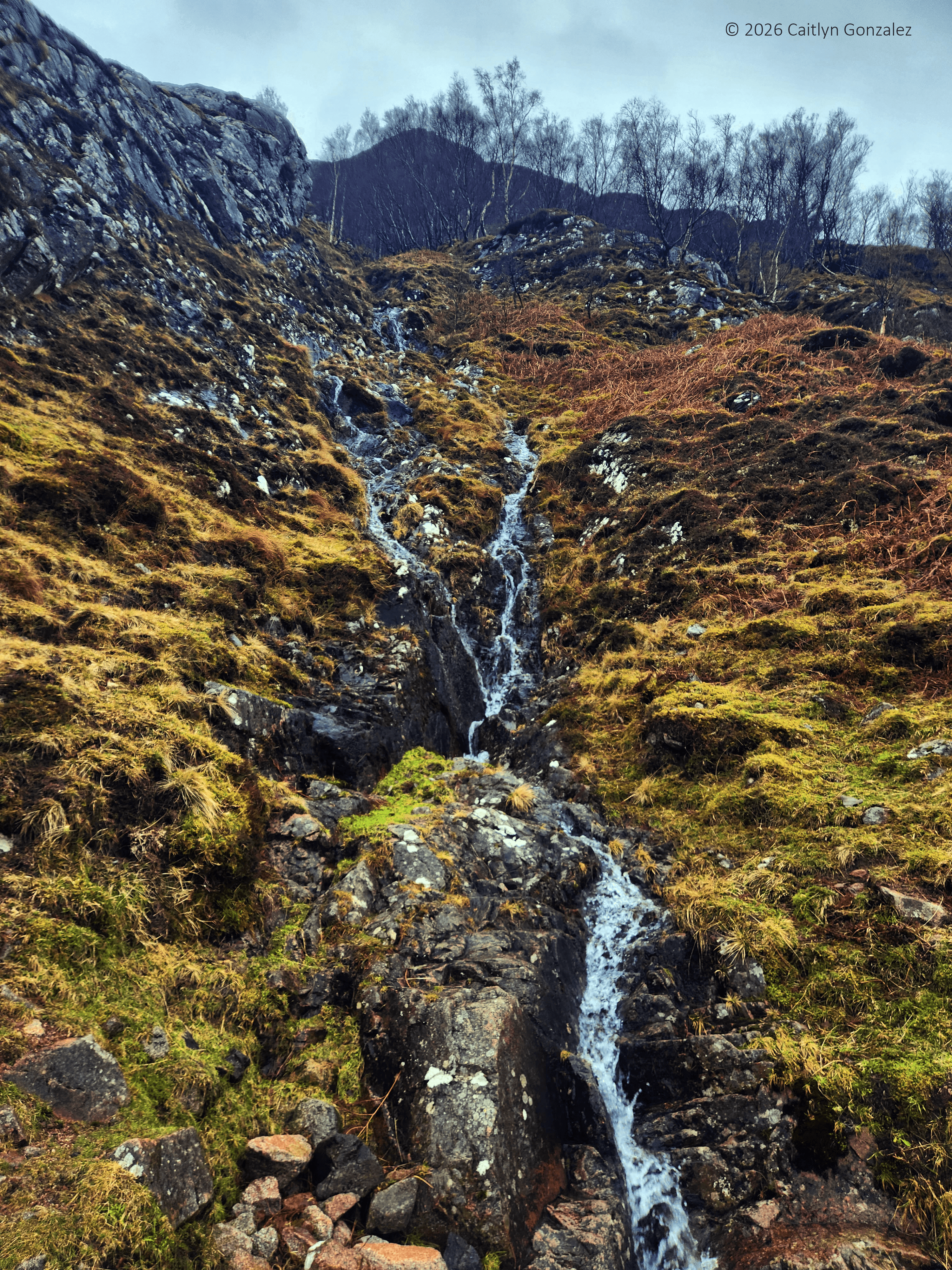 A stream coming down a mountain on a dreary day
