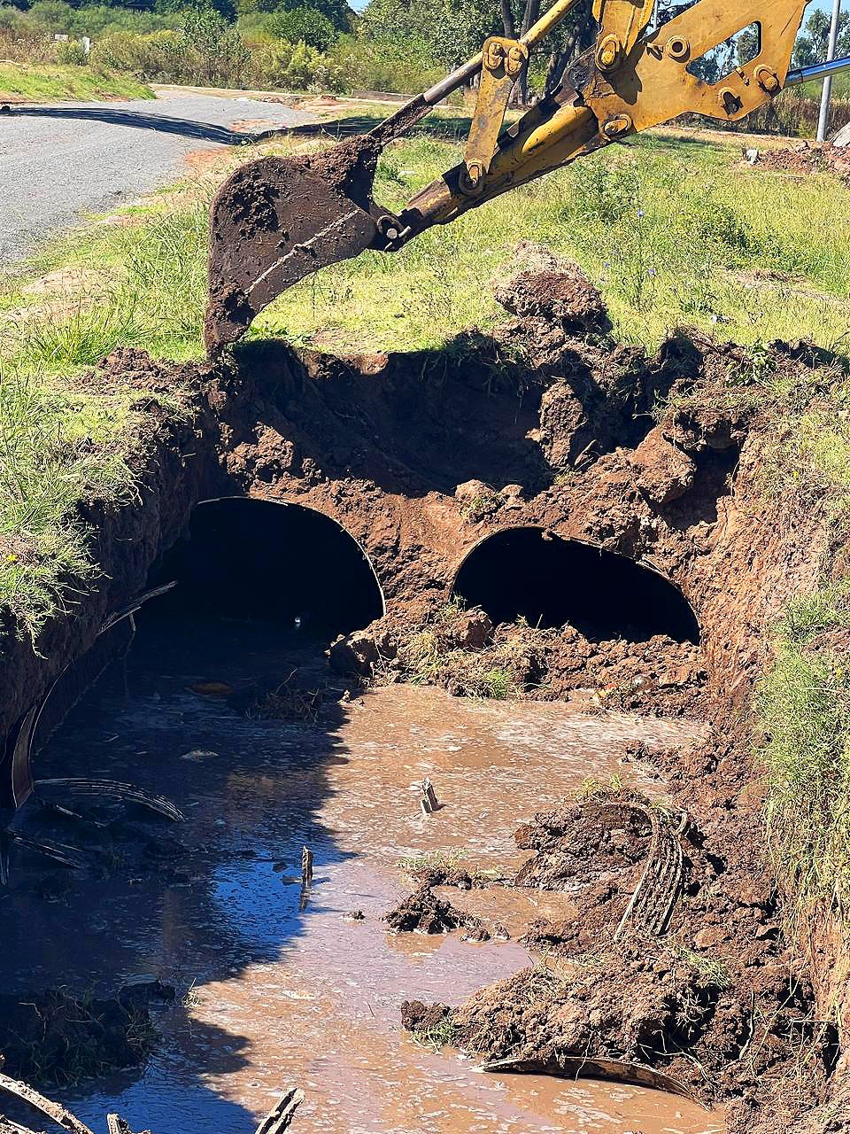 Close-up of lush, dark green leaves, some glossy and wet, against a muted background.