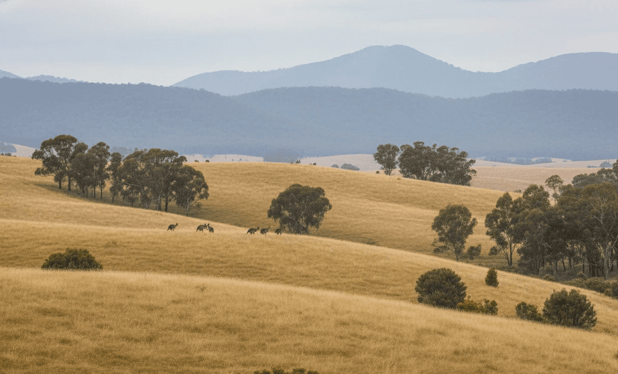 man in white long sleeve shirt and blue denim jeans standing on white metal ladder