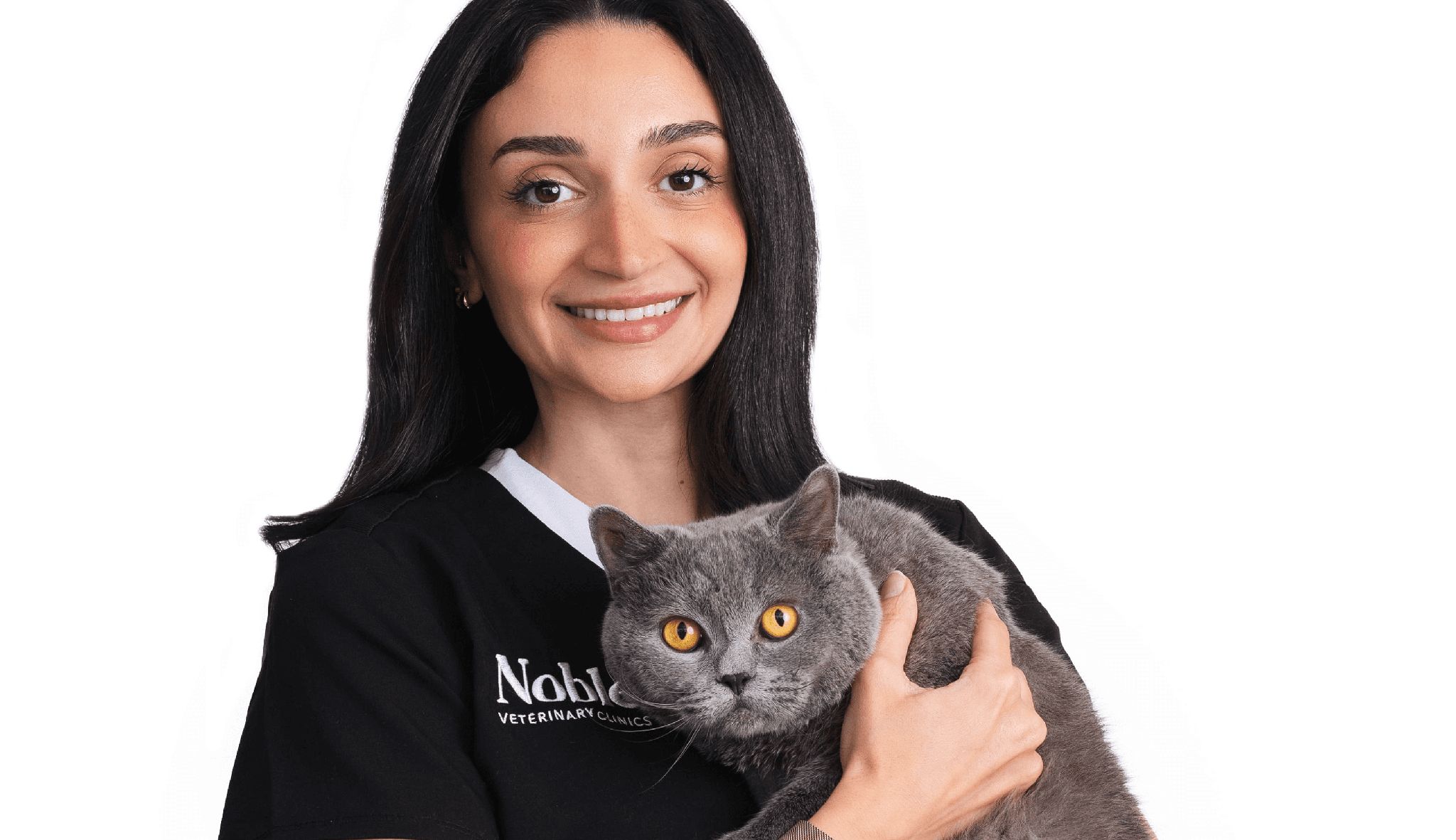 A veterinarian is holding a gray cat gently.