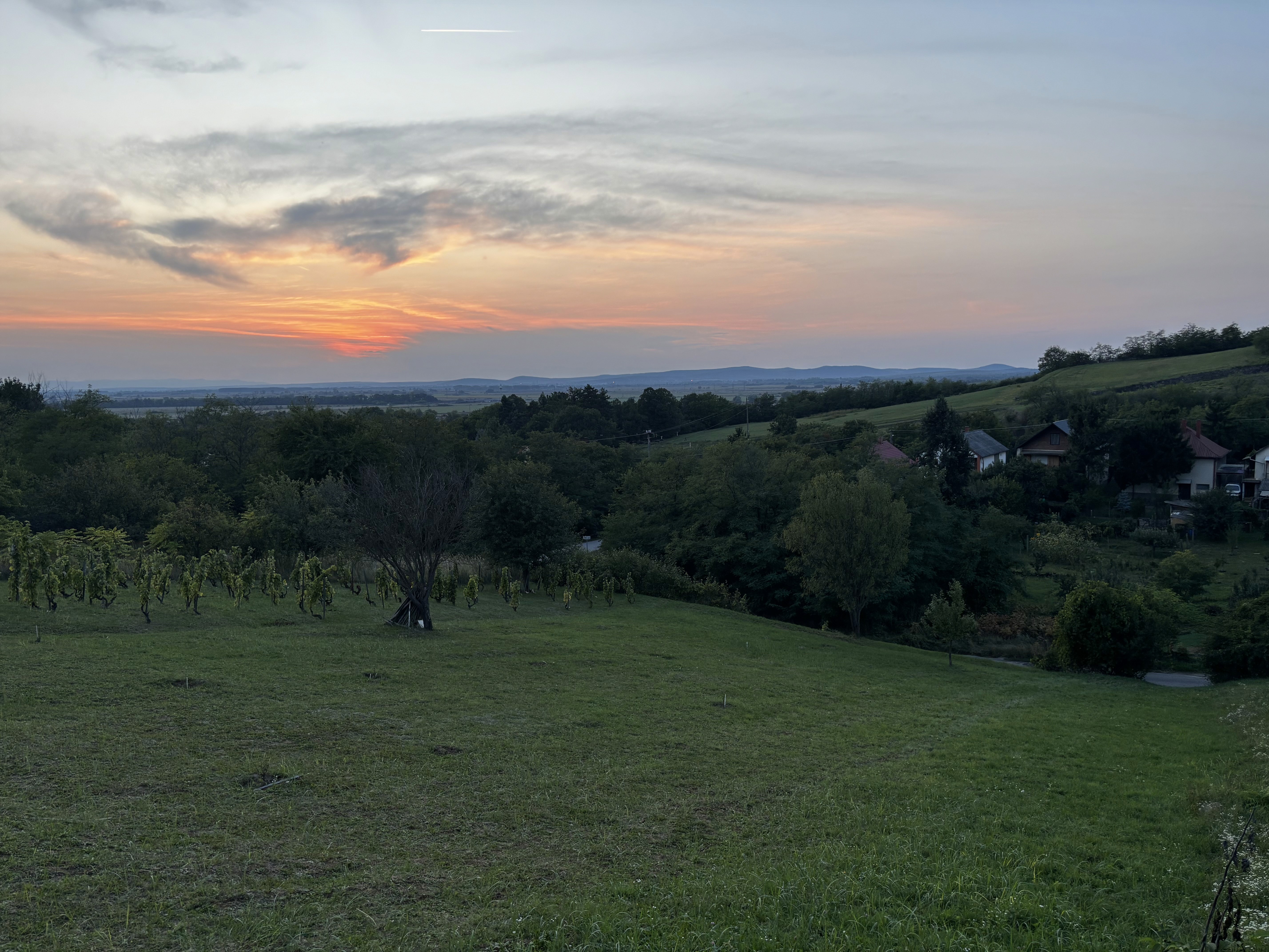 Nyugodt vidéki táj naplementében: narancsos és rózsaszínes égbolt, zöld mezők, szőlőültetvény és fák között megbúvó kis házak.