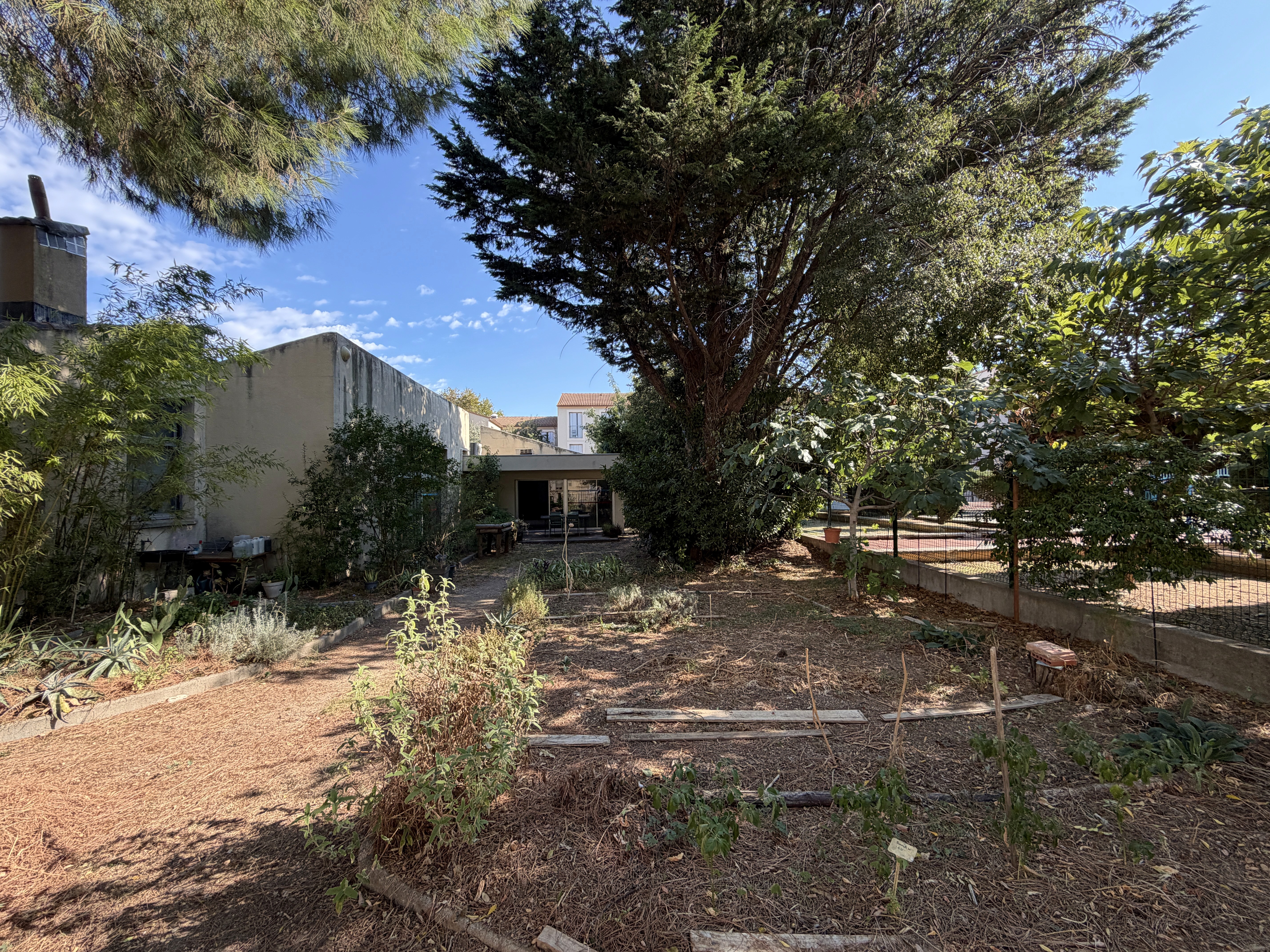 Jardin existant du Club de l’Âge d’Or La Cavalerie à Montpellier, futur espace extérieur intégré au projet de rénovation et d’aménagement par KARBONE Architectes pour le CCAS de Montpellier
