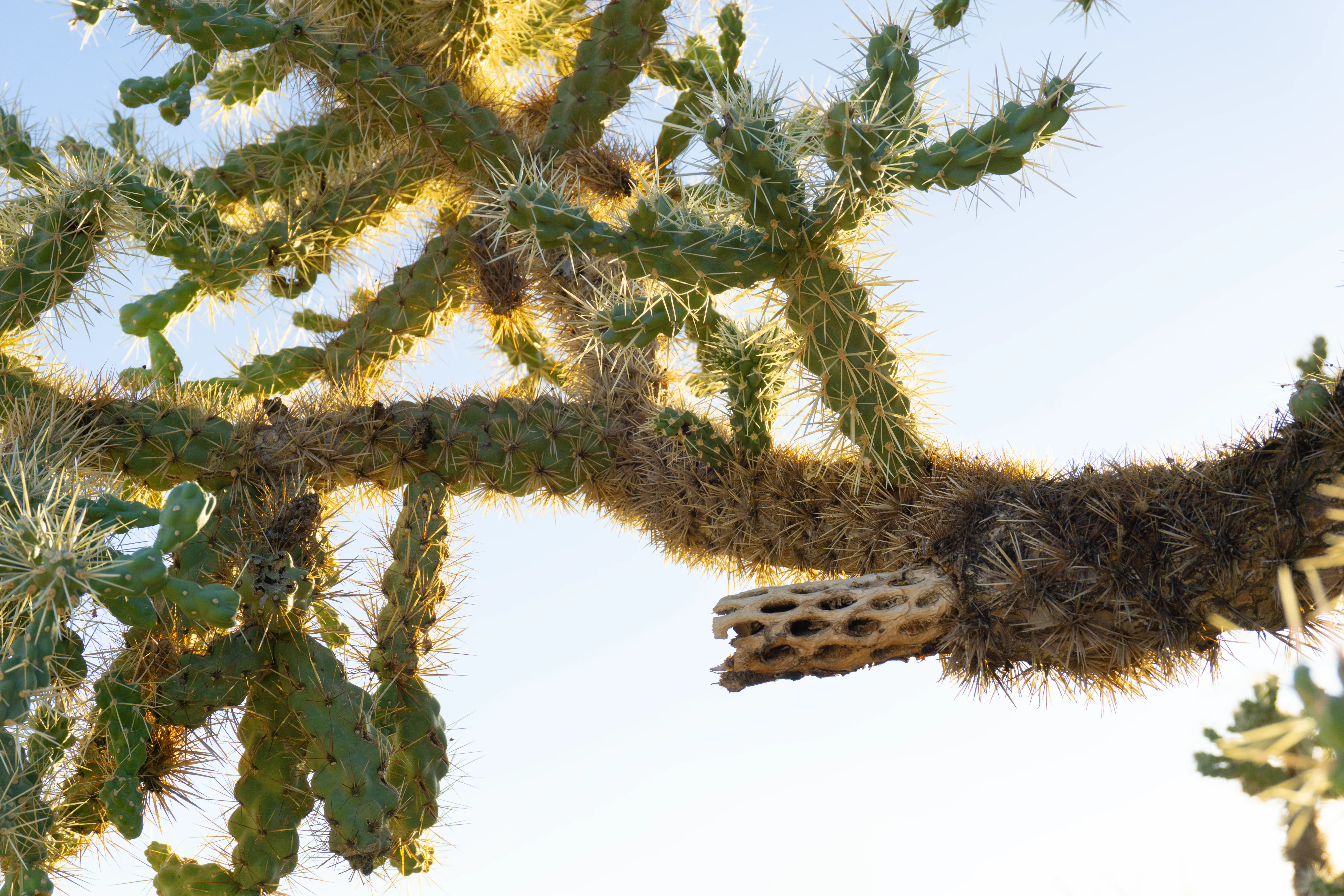 VR lunar environment