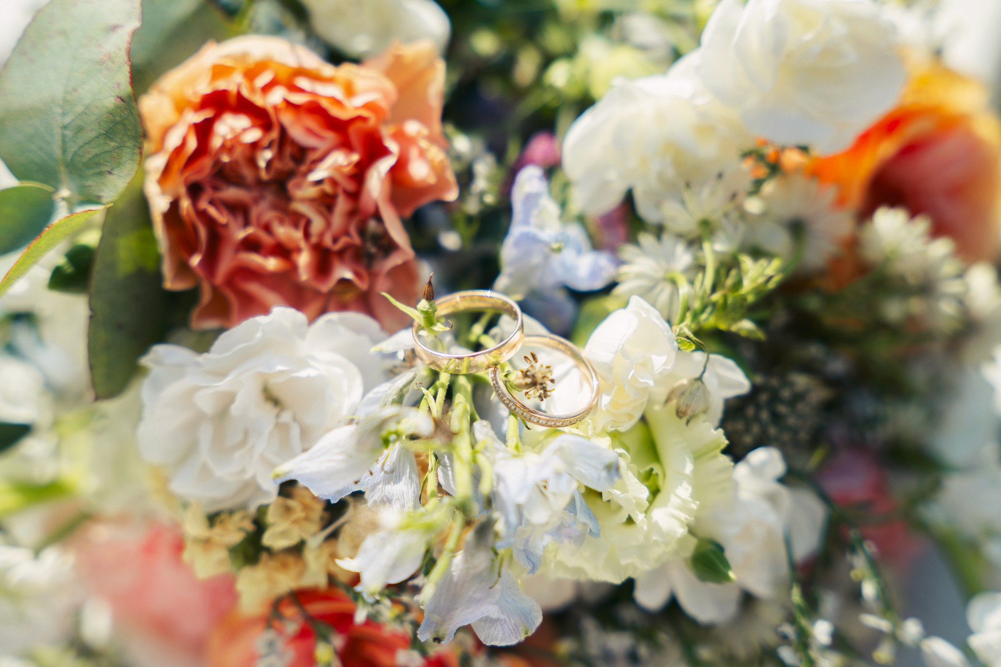 Vintage television with soda cans on grassy field